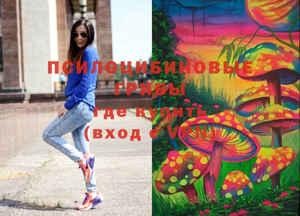 ГАЛЛЮЦИНОГЕННЫЕ ГРИБЫ Горнозаводск