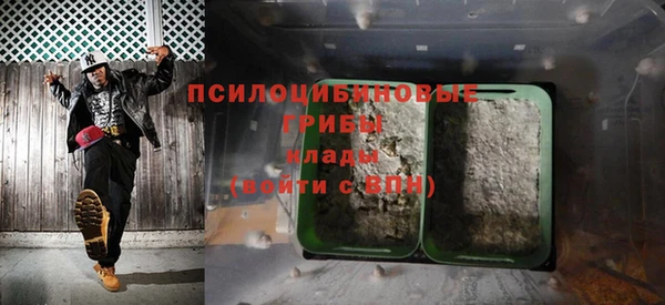 таблы Горняк