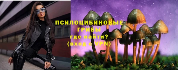 ГАЛЛЮЦИНОГЕННЫЕ ГРИБЫ Горнозаводск