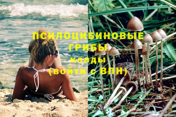таблы Горняк