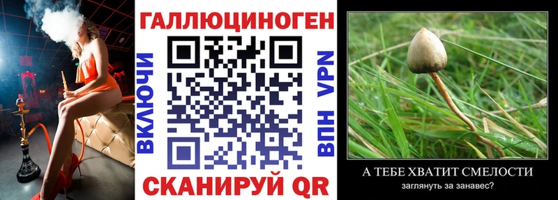 Псилоцибиновые грибы MAGIC MUSHROOMS  Купить закладки  Порхов 